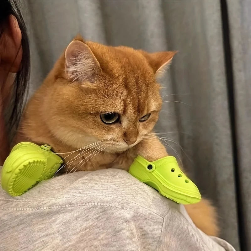 Small hole shoes for your cat